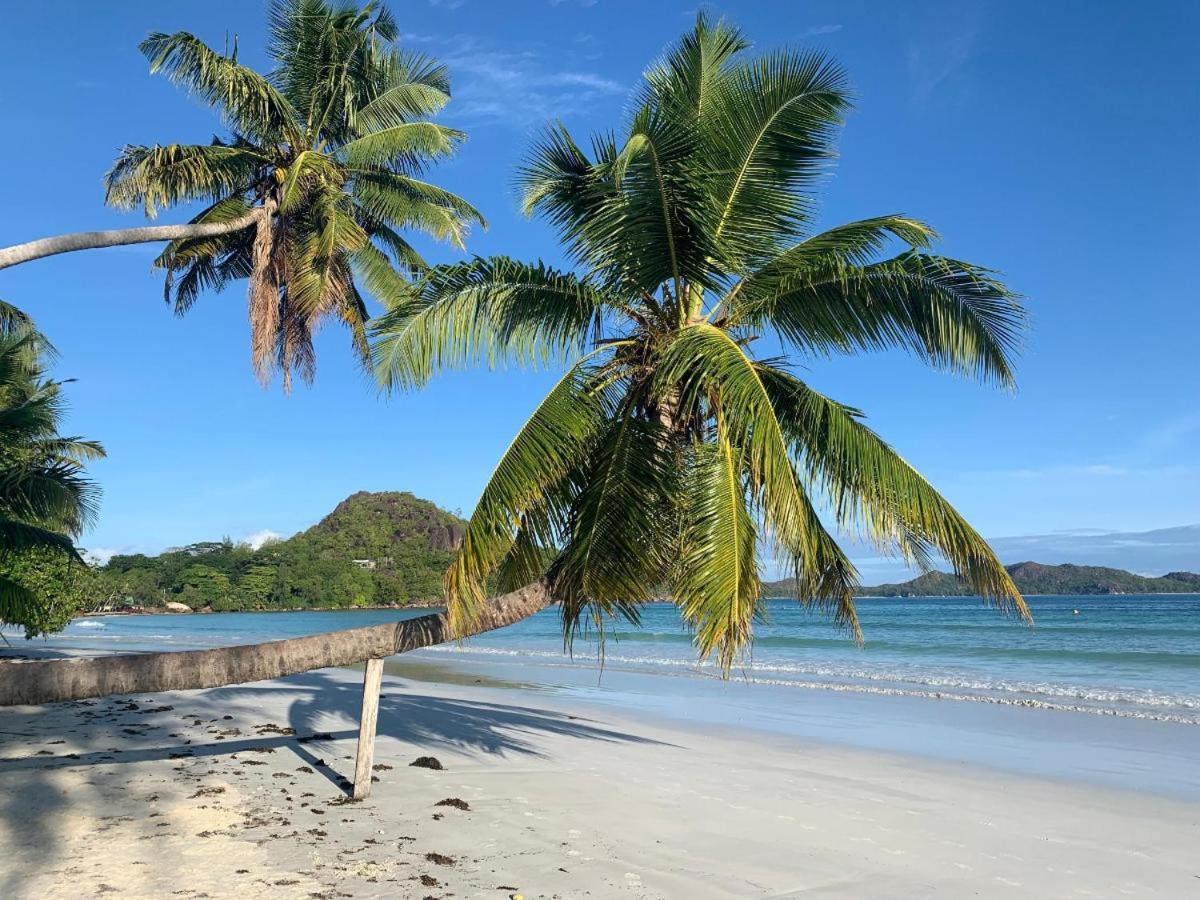 Villa Rafia Baie Sainte Anne Exteriér fotografie