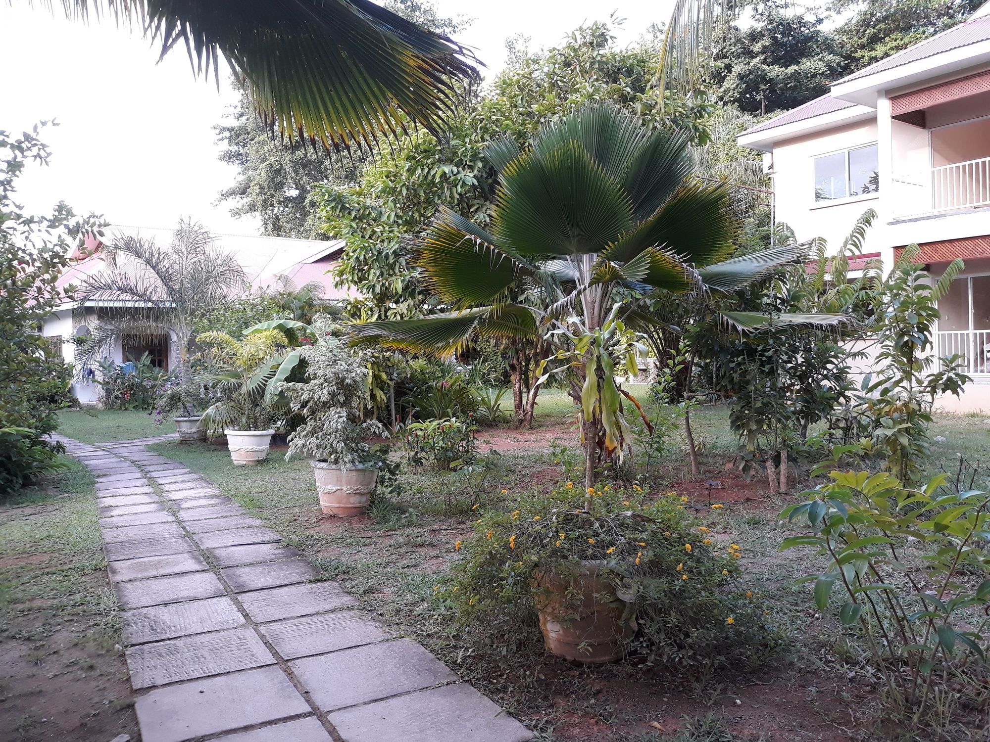 Villa Rafia Baie Sainte Anne Exteriér fotografie